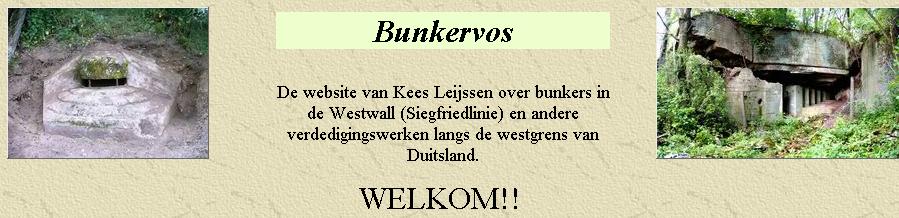 Bunkervos