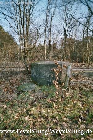 Maas-Rur-Steilhang-Elmpter-Wald-Stellung