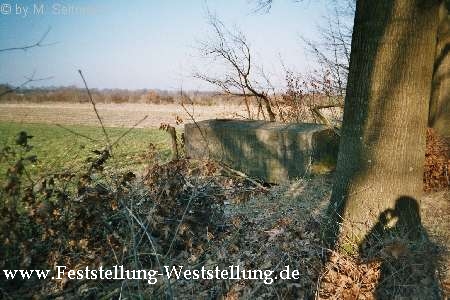 Maas-Rur-Steilhang-Elmpter-Wald-Stellung