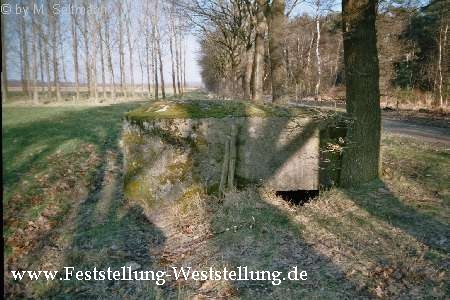 Maas-Rur-Steilhang-Elmpter-Wald-Stellung