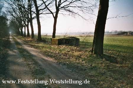 Maas-Rur-Steilhang-Elmpter-Wald-Stellung