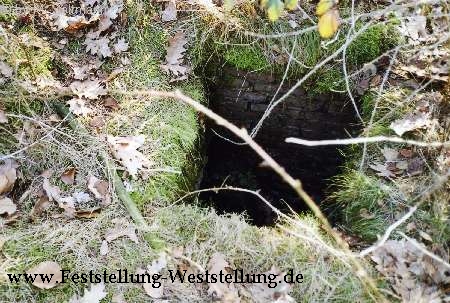 Maas-Rur-Steilhang-Elmpter-Wald-Stellung