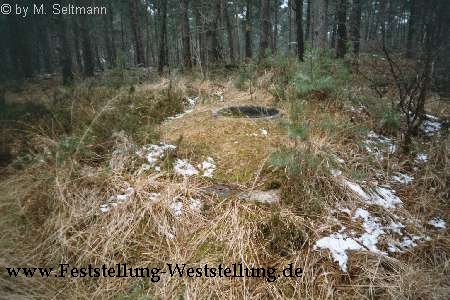 Maas-Rur-Steilhang-Elmpter-Wald-Stellung