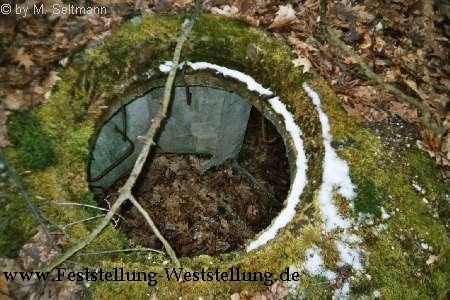 Maas-Rur-Steilhang-Elmpter-Wald-Stellung