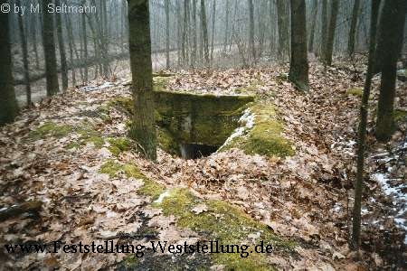 Maas-Rur-Steilhang-Elmpter-Wald-Stellung