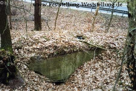 Maas-Rur-Steilhang-Elmpter-Wald-Stellung