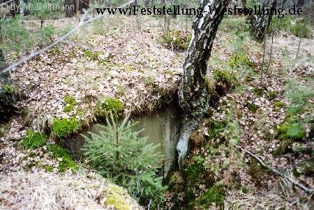 Maas-Rur-Steilhang-Elmpter-Wald-Stellung