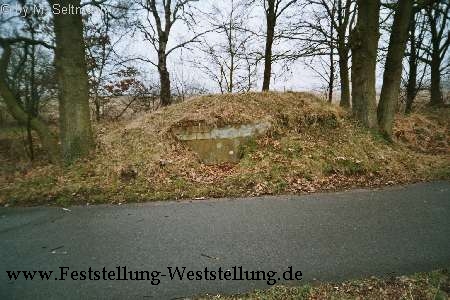 Maas-Rur-Steilhang-Elmpter-Wald-Stellung