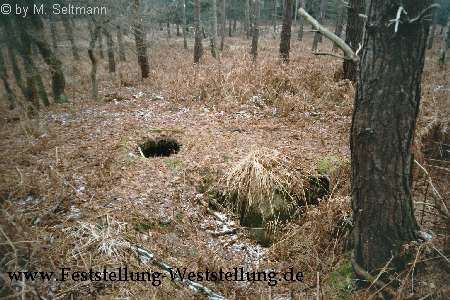 Maas-Rur-Steilhang-Elmpter-Wald-Stellung