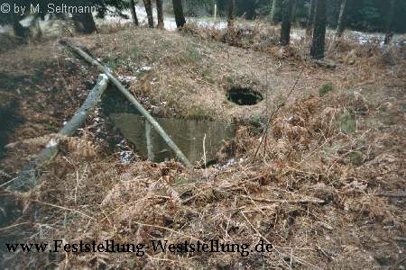 Maas-Rur-Steilhang-Elmpter-Wald-Stellung