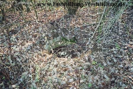 Maas-Rur-Steilhang-Elmpter-Wald-Stellung