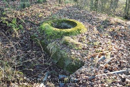 Maas-Rur-Steilhang-Elmpter-Wald-Stellung