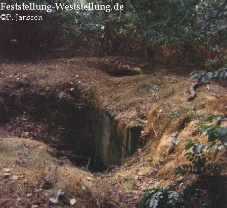 Maas-Rur-Steilhang-Elmpter-Wald-Stellung