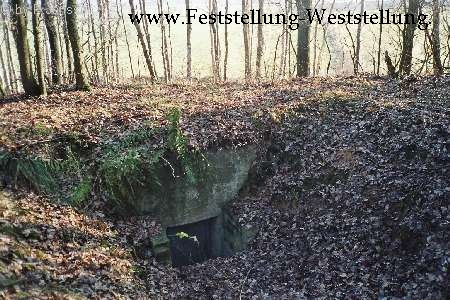 Maas-Rur-Steilhang-Elmpter-Wald-Stellung