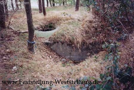 Maas-Rur-Steilhang-Elmpter-Wald-Stellung