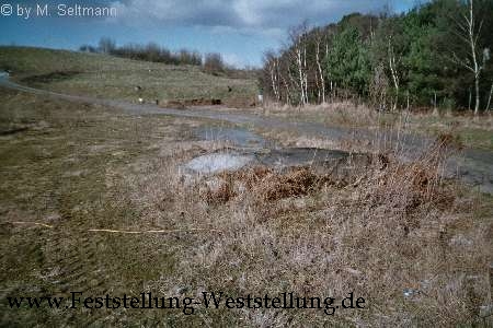 Maas-Rur-Steilhang-Elmpter-Wald-Stellung