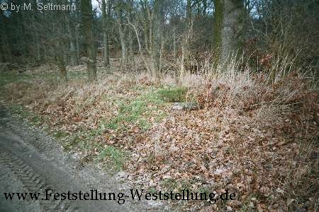 Maas-Rur-Steilhang-Elmpter-Wald-Stellung