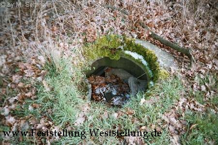 Maas-Rur-Steilhang-Elmpter-Wald-Stellung