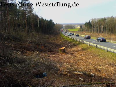 B230 nach Rodung