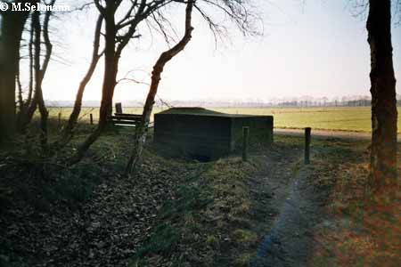 Maas-Rur-Steilhang-Elmpter-Wald-Stellung