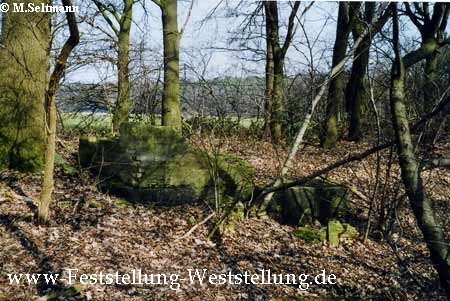 Maas-Rur-Steilhang-Elmpter-Wald-Stellung