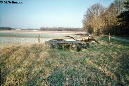 Maas-Rur-Steilhang-Elmpter-Wald-Stellung