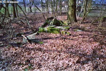 Maas-Rur-Steilhang-Elmpter-Wald-Stellung